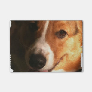 Corgi Post-it Block