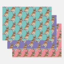 Corgi presentförpackningsset