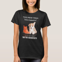 Corgi Puppy Hund är inte Idiot. De är forskare