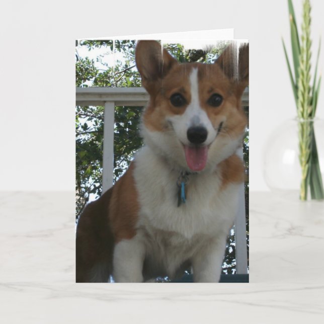 Corgi Puppy Hund Greeting Card Kort (Framsida)