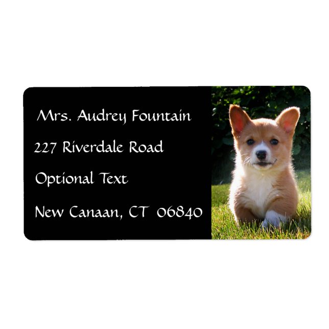 Corgi Puppy Hund Returadress E-poststämpel Fraktsedel (Framsidan)