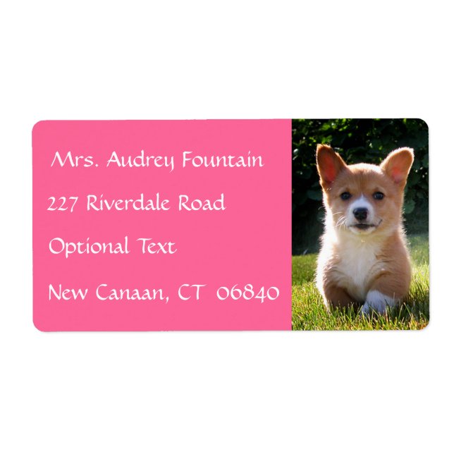 Corgi Puppy Hund Returadress E-poststämpel Fraktsedel (Framsidan)