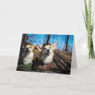 Corgi Robin Hood tom kort