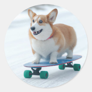 Corgi roligt skateboarding runt klistermärke