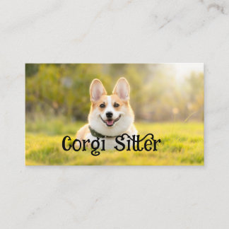 corgi sitter visitkort