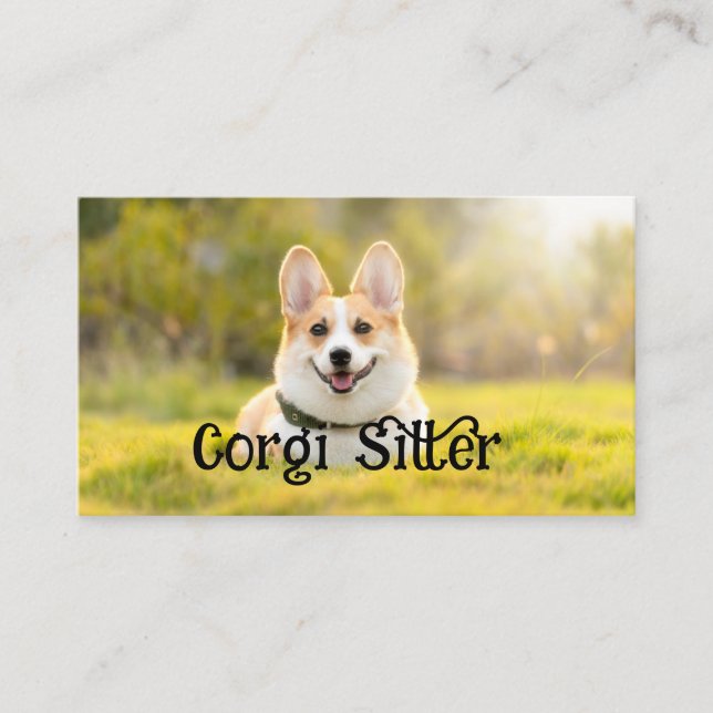 corgi sitter visitkort (Framsida)