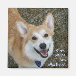 Corgi Smiles är smittsam! Magnet