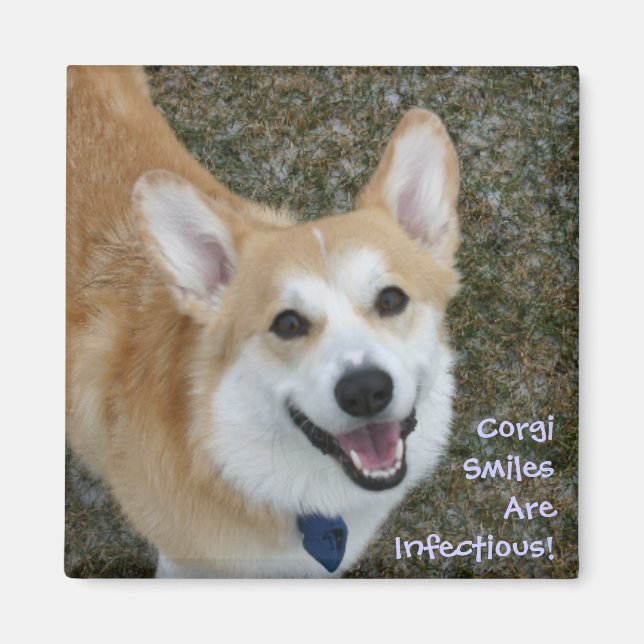 Corgi Smiles är smittsam! Magnet (Framsidan)