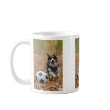 Corgi som leker fotboll