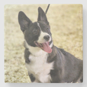 Corgi Stenunderlägg