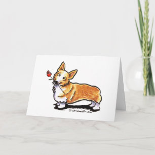 Corgi Swehoney Kort