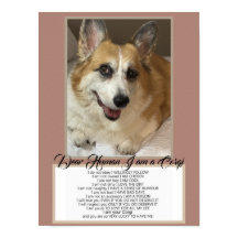 Corgi Talar
