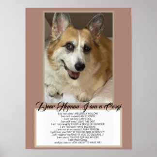 Corgi Talar Poster