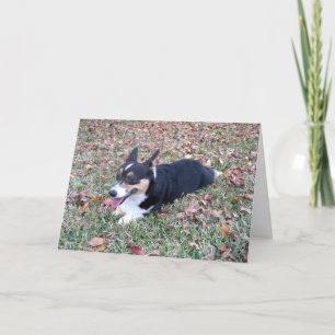 Corgi Thanksgiving Helgkort