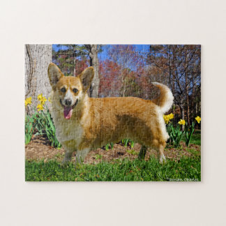 "Corgi Time" Puzzle Pussel