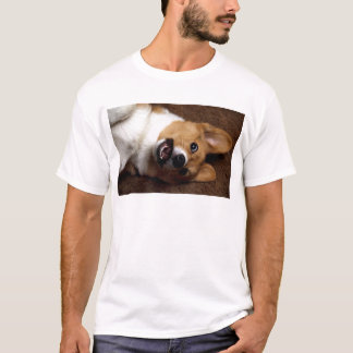 Corgi Tröja