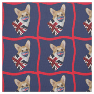 CORGI TYG