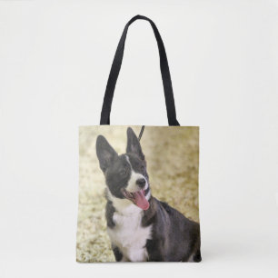 Corgi Tygkasse