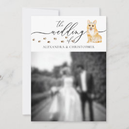 Corgi-valp Bröllopsfoto Inbjudningar