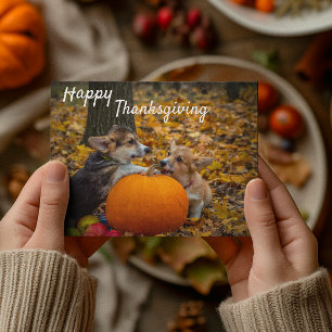 Corgi-valpar med pumpa Gott tacksgiving Vykort