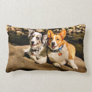 Corgiälskare Lumbarkudde