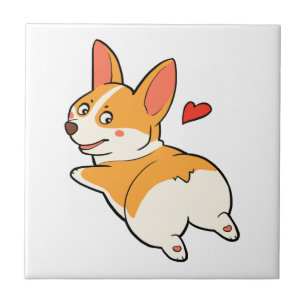 Corgiändor Kakelplatta