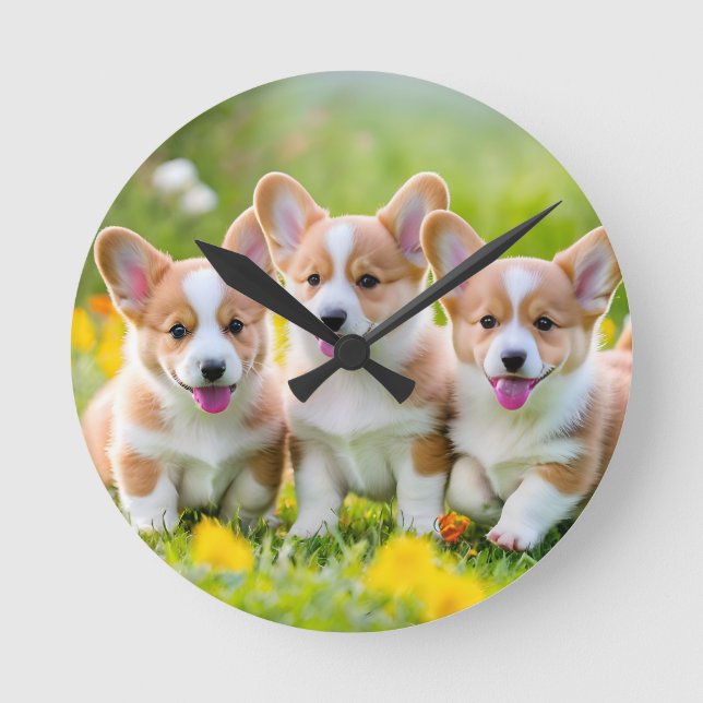 Corgies leker i gräset rund klocka (Framsida)