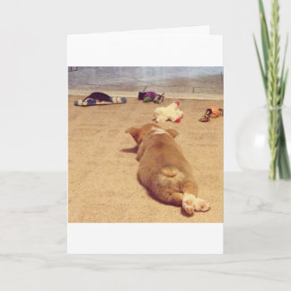 Corgifödelsedagkort Kort