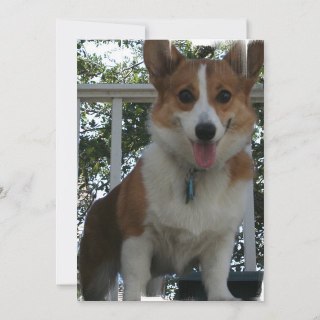 Corgiinbjudan Inbjudningar (Framsida)