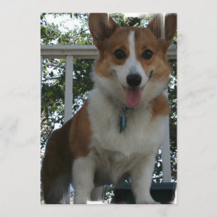 Corgiinbjudan Inbjudningar