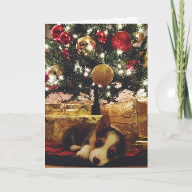 Corgijulkort Helgkort (Framsida)