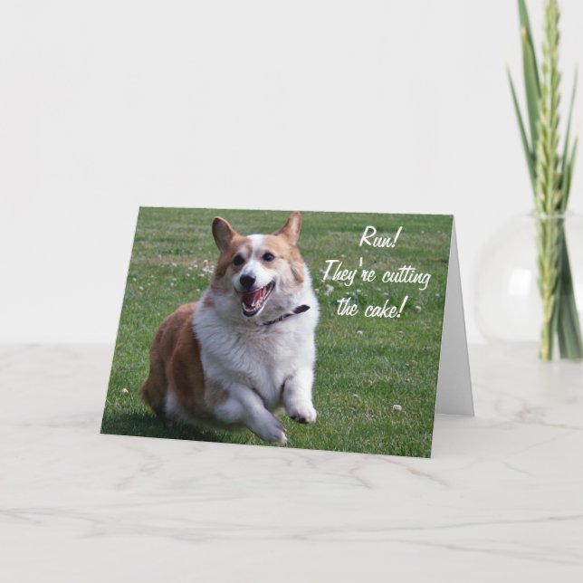 Corgikort Kort (Framsida)