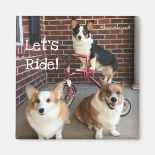 Corgimagnet Magnet