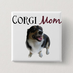 Corgimamman fotograferar knapp