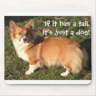 Corgimusen vadderar musmatta