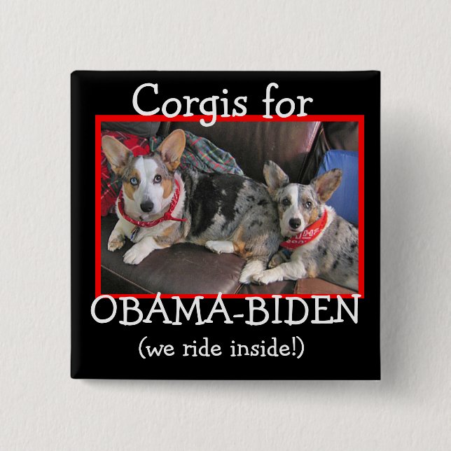 Corgis för Obama-Biden Knapp (Framsida)