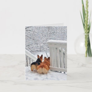 Corgis i snön helgkort