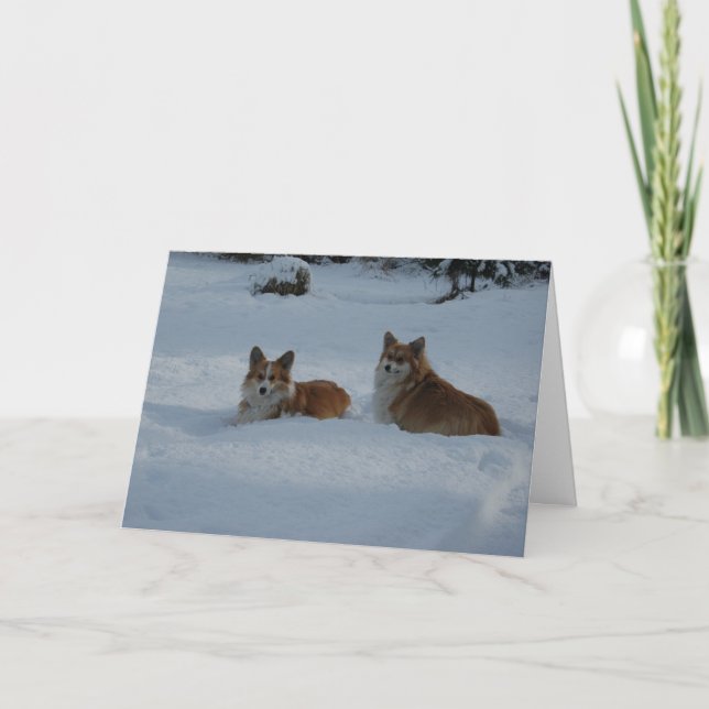 Corgis leker i snö helgkort (Framsida)