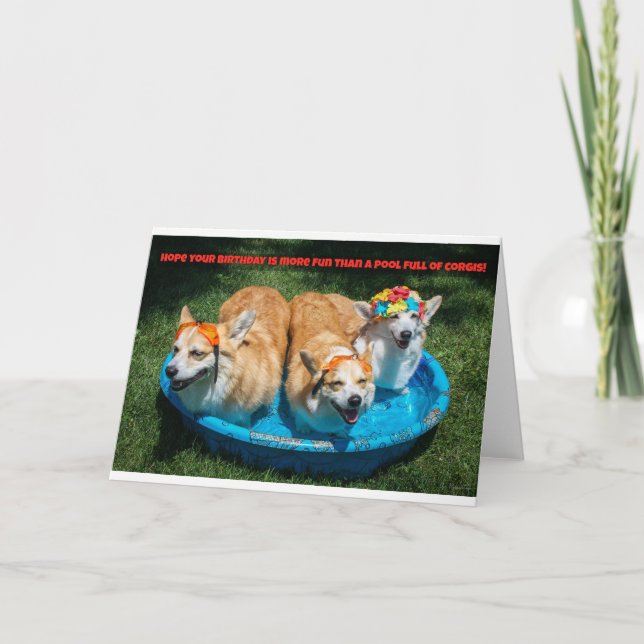 Corgis på ett födelsedagskort i bassäng kort (Framsida)