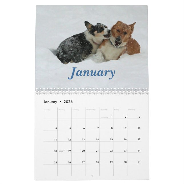 Corgis på gå 2013 kalender (Jan 2026)