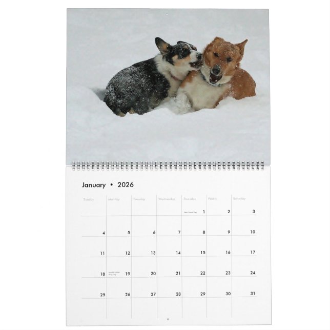 Corgis på gå 2014 kalender (Jan 2026)