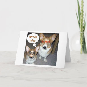 CORGIS SÄG GUESS VEM SOM ÖNSKEMÅL DIG GRATTIS PÅ F KORT