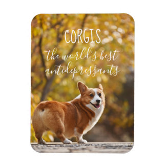 Corgis Världens bästa antidepressiva medel Magnet