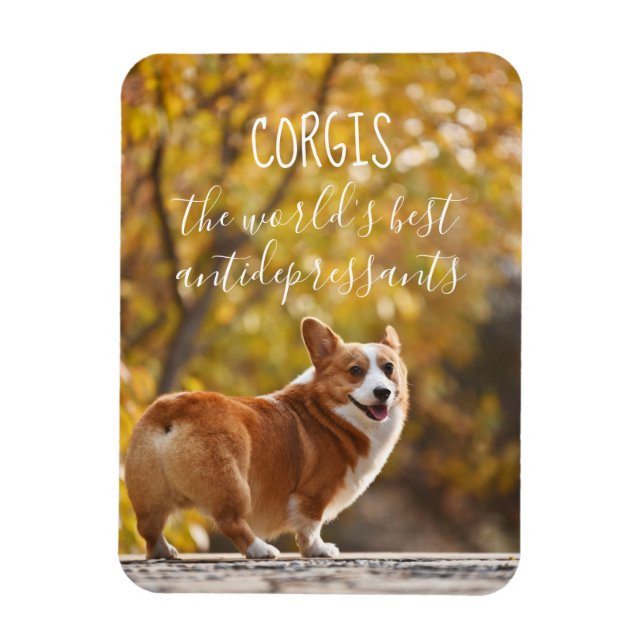 Corgis Världens bästa antidepressiva medel Magnet (Vertikal)