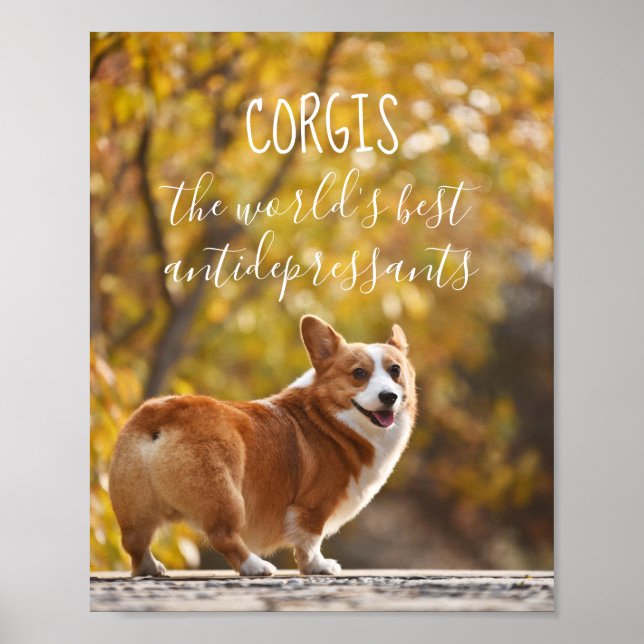 Corgis Världens bästa antidepressiva medel Poster (Framsidan)