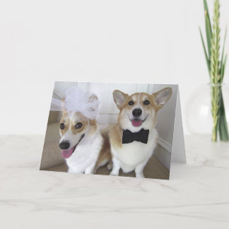 corgisuppklädd som brud och brudgum kort