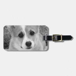 Corgivalp Bagagebricka