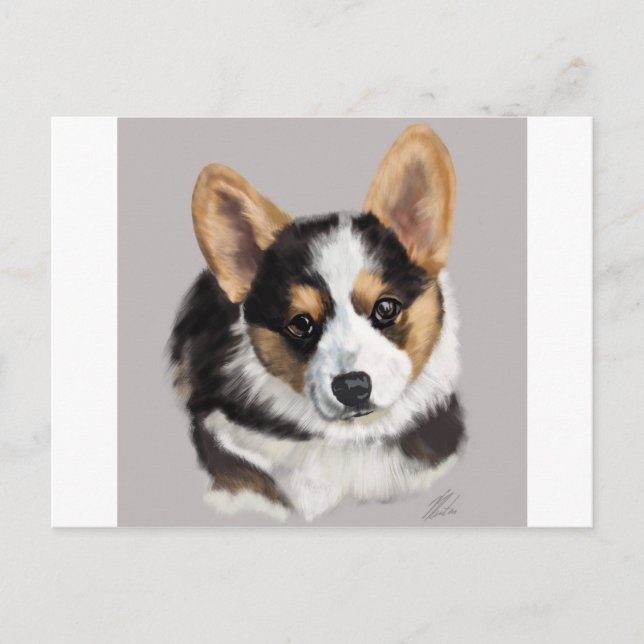 Corgivalp Vykort (Framsida)