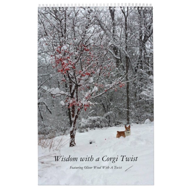 Corgivishetkalender Kalender (Omslag)