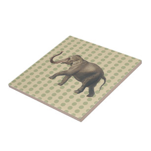 Coriander Spice Moods Dots med Elephant Kakelplatta